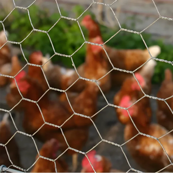 Hexagonal Wire Mesh