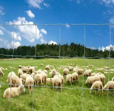 The Role of Field Wire Fence in Grassland Conservation