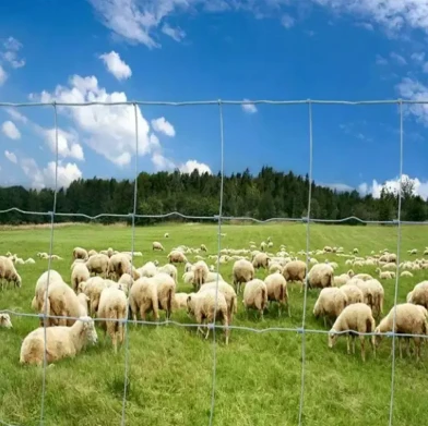 Field Fencing: Secure Your Property with the Best Solutions