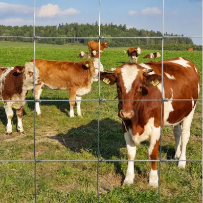 &lt;trp-post-container data-trp-post-id=&#039;14196&#039;&gt;Field Fencing: Secure Your Property with the Best Solutions&lt;/trp-post-container&gt;