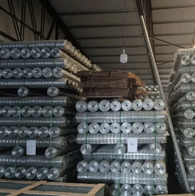 Galvanized Welded Wire Mesh: A Durable and Versatile Solution