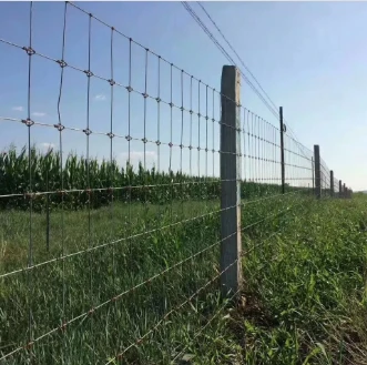 Mesh Fencing: A Secure and Practical Solution for Any Property