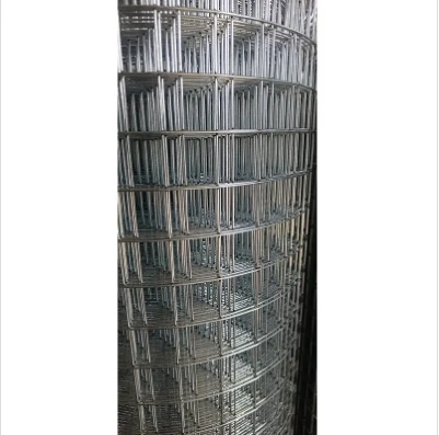 Galvanized Wire Mesh: A Durable and Versatile Solution