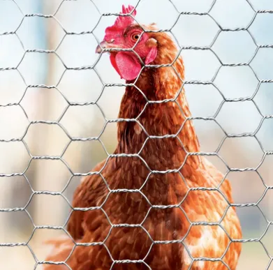 Hexagonal Wire Mesh: Versatile and Durable Solutions for Every Project