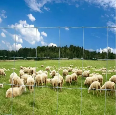 Everything You Need to Know About Field Wire Fencing