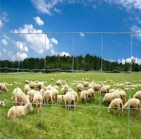 diamond mesh wire fence