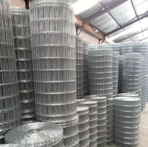 galvanized wire mesh for sale