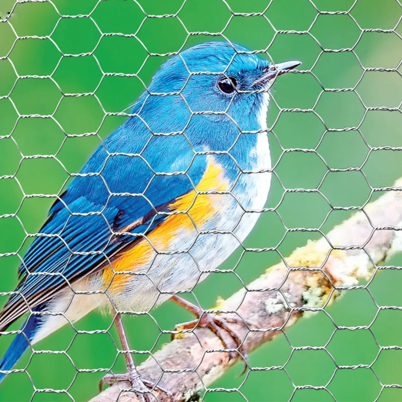 stainless steel wire mesh manufacturers