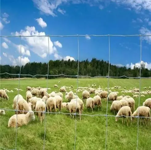 handgeschmiedete Nägel zum Verkauf