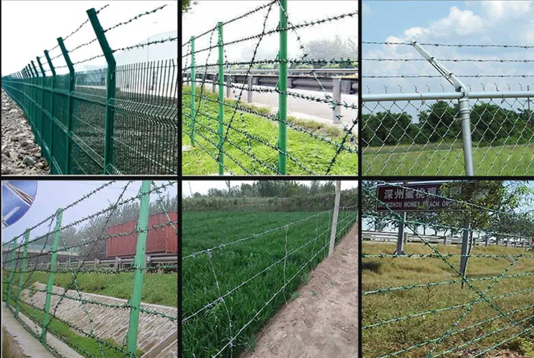 poultry wire mesh