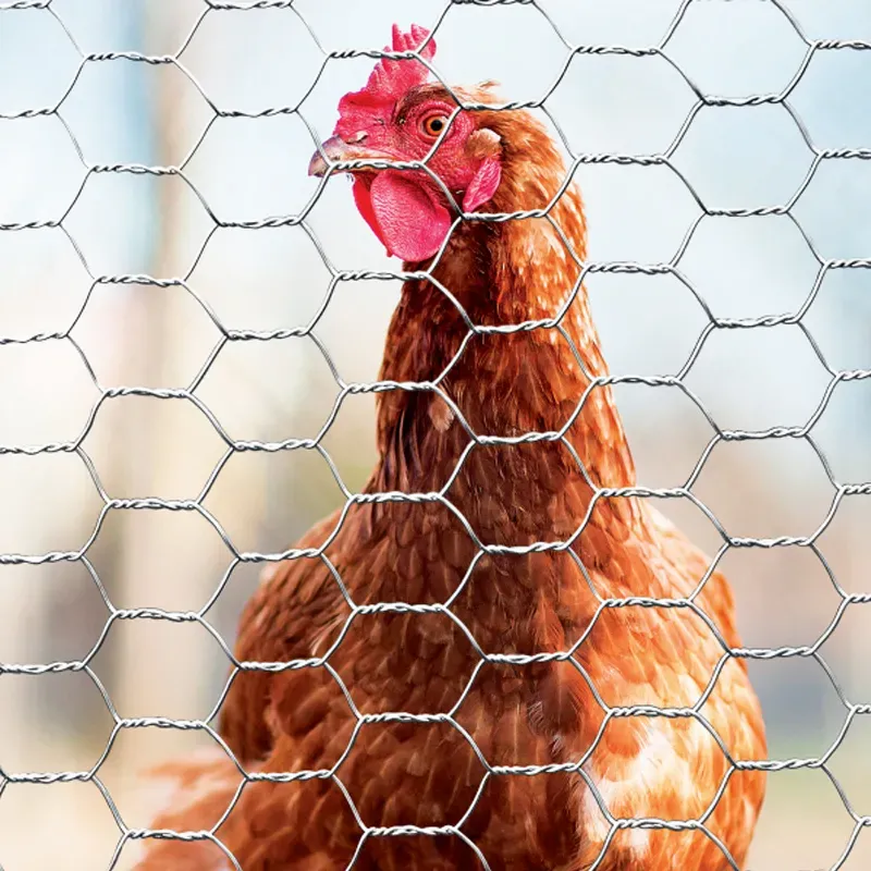 ss wire mesh manufacturers